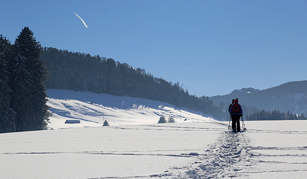Amb les raquetes als peus
